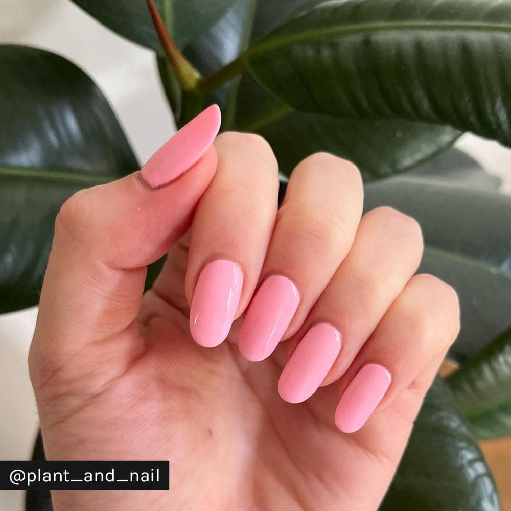 Nude Pink Shimmer Nails| Coffin Pink Nail Inspo| Pink Gel X Nails| Basic Pink  Nails| Be My Baby – Beauty Lux Nails | lupon.gov.ph